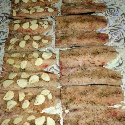 название картинки Скумбрия пряная с чесноком замороженная