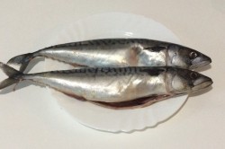 Скумбрия запеченная в фольге в духовке с лимоном