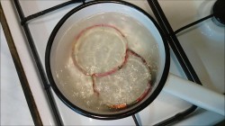 Консервированные сливы в сахарном сиропе на зиму заготовки