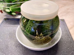 Соленые огурцы под капроновой крышкой на зиму