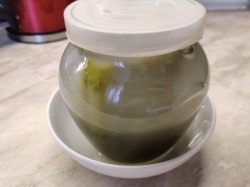 Соленые огурцы под капроновой крышкой на зиму