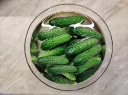 Соленые огурцы под капроновой крышкой на зиму