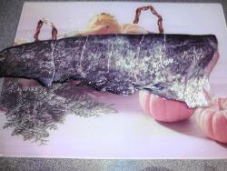 Сом запеченный