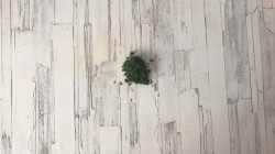 Соте из кабачков