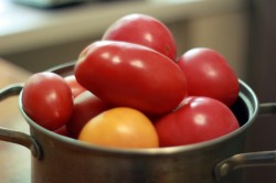 название картинки соус Чемберленский томатный с луком