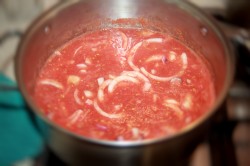 название картинки соус Чемберленский томатный с луком