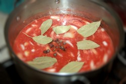 название картинки соус Чемберленский томатный с луком