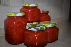 название картинки соус Чемберленский томатный с луком