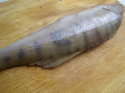 Судак жареный на сковороде - шаг 1 Судак жареный на сковороде - шаг 1