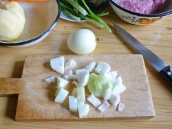 название картинки Суп из говяжьего фарша