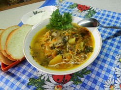 название картинки Суп из шампиньонов в мультиварке