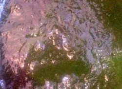 Суп пюре из шпината замороженного со сливками