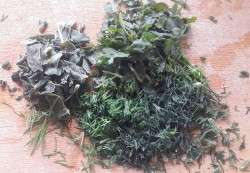 название картинки Суп-пюре с говядиной и чечевицей