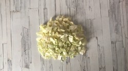 название картинки Суп с капустой и картошкой