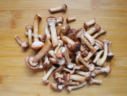 название картинки Суп с плавленым сыром и лесными опятами