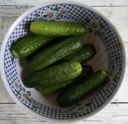 название картинки Свежие огурцы на зиму в банках