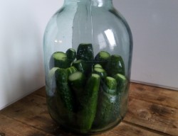 название картинки Свежие огурцы на зиму в банках