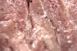 Свинина в соевом соусе запеченная с имбирем