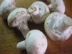 Мясные рулетики с грибами