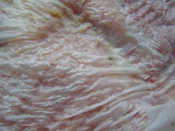 название картинки Свиные отбивные в кляре на сковороде