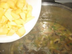 Суп с грибами шампиньонами сыром фаршем