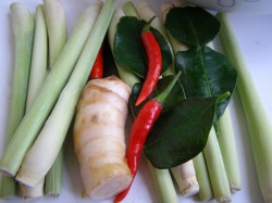 Том ям классический