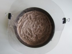 название картинки Торт Ферреро Роше в домашних условиях