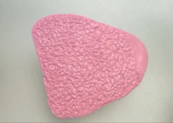 Торт Монстр Хай из мастики