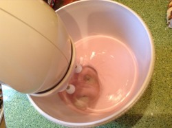 Торт Надин Nadin