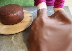 Торт бисквит с цветами из мастики