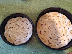 название картинки Торт Бисквит с фруктами