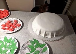 название картинки Торт с розами из мастики