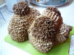 название картинки Торт Собака со сгущенкой