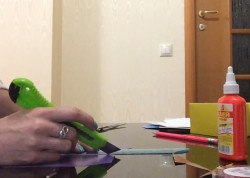 Торт Сюрприз - шаг 5 Торт Сюрприз - шаг 5