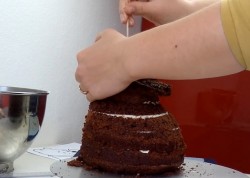 Торт Винни Пух