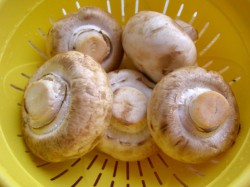 название картинки Тушеные грибы в мультиварке