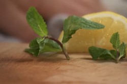 Тушеный гусь кусочками - шаг 35 Тушеный гусь кусочками - шаг 35