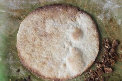 Творожно сметанный торт - шаг 7