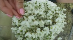 Варенье из цветков белой акации с лимоном (акациевый мёд) - шаг 1 Варенье из цветков белой акации с лимоном (акациевый мёд) - шаг 1