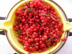 название картинки Варенье из калины на зиму