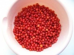 название картинки Варенье из калины на зиму