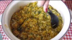 Варенье из одуванчиков (одуванчиковый мёд)