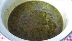 Варенье из одуванчиков (одуванчиковый мёд)