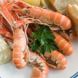 Варка лангустинов с морской солью