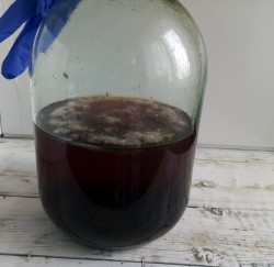 Вино из черешни в домашних условиях