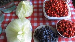 Вино из шиповника - шаг 1 Вино из шиповника - шаг 1