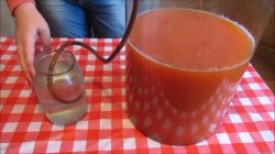 Вино из шиповника - шаг 4 Вино из шиповника - шаг 4