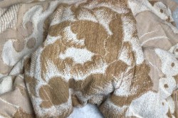 Вишня в сиропе на зиму