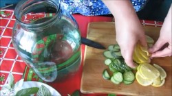 Вода Сасси для похудения и очищения организма