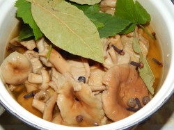 название картинки Волнушки соленые на зиму